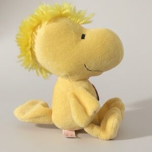 TY - Woodstock 2011 - no flaws outside but battery is empty